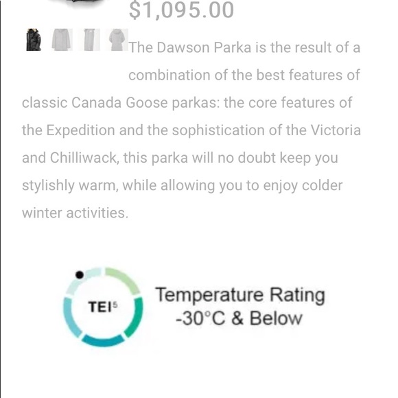 Dawson Canada goose - Picture 10 of 10